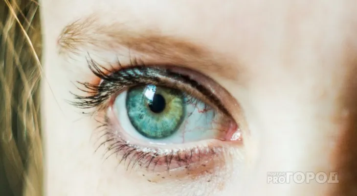 Premium vision 🔺 gyógyszertár, ár, vélemények, fórum, hatás, átverés?.
